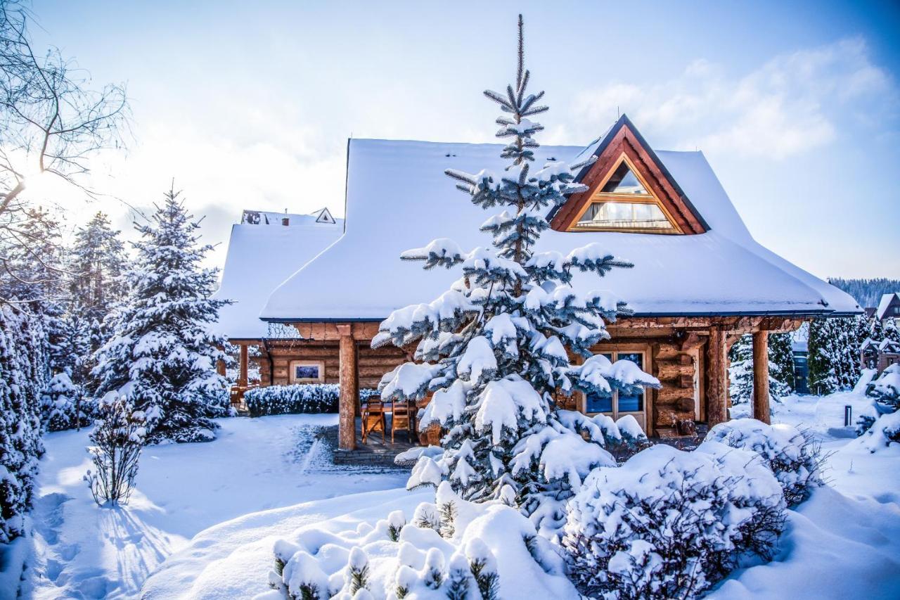 Chalet Wioska Jagny Poronin Εξωτερικό φωτογραφία